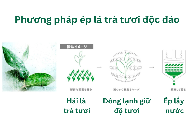 tra-xanh-tuoi-namacha-2L-2.png